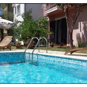 Olive Tree Apartment