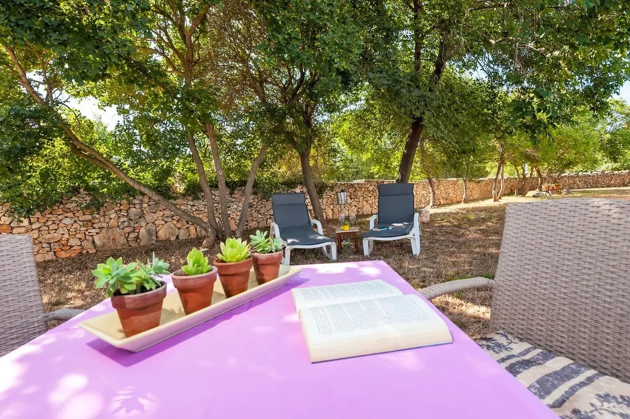 דירות רוביני House Lena - 800 M From The Sea 0*,  קרואטיה